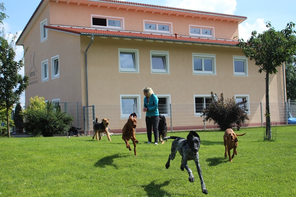 Kundenbewertungen zu Hundehotel, Hundeschule Satke bei München Unser Kunden bewerten unsere Leistungen im Hundehotel und in der Hundeschule